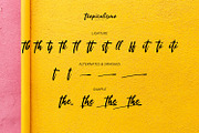 Tropicalismo Typeface, a Script Font by ikiiko (Thumbnail 5 of 6)