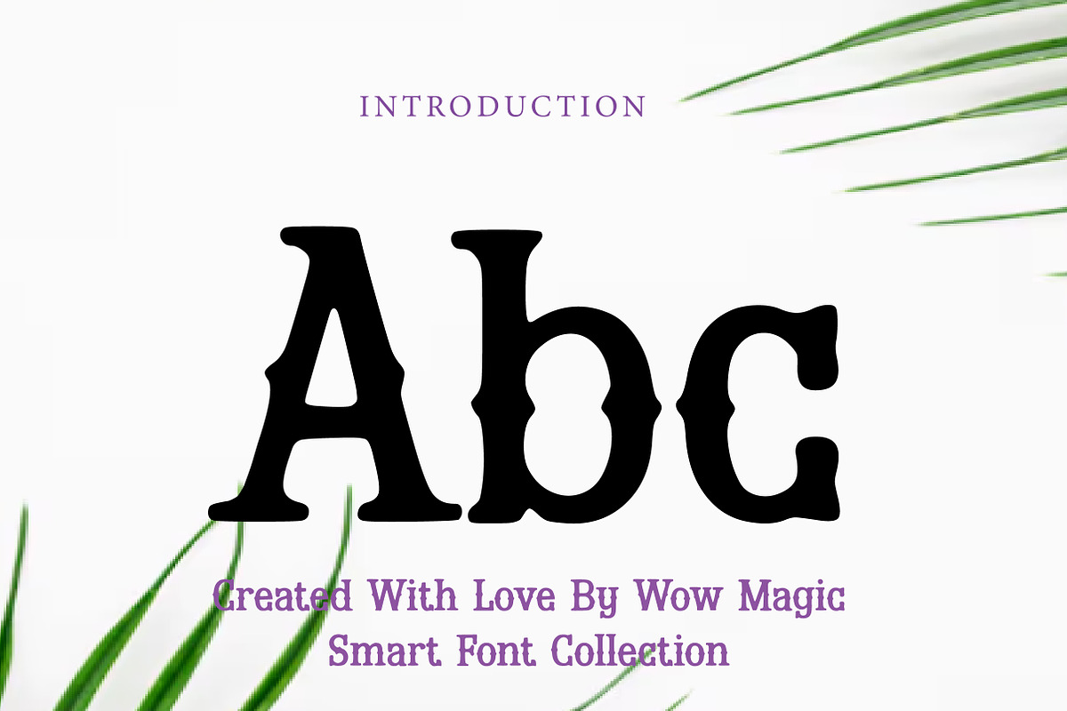 Split Slab Serif, a Serif Font by Wow Magic (Photo 2 of 3)