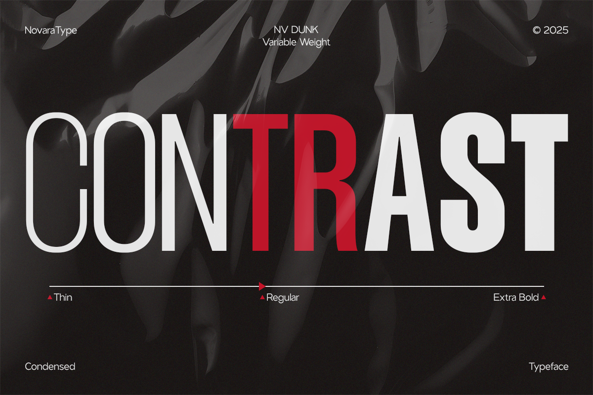 NV Dunk – Condensed Sans Serif, a Sans Serif Font by Novaratype (Photo 8 of 15)