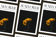 Mirado - Classic Serif Font, a Serif Font by Luna Shop (Thumbnail 3 of 6)