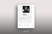 CV / Resume template for MS Word, a Resume Template by Mellene Templates (Thumbnail 3 of 3)
