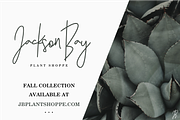 Hearth & Home Font Duo, a Script Font by Flycatcher Design (Thumbnail 7 of 8)