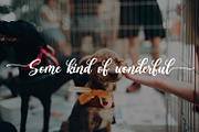 Another Day | Modern Script, a Script Font by Qaratype (Thumbnail 4 of 14)