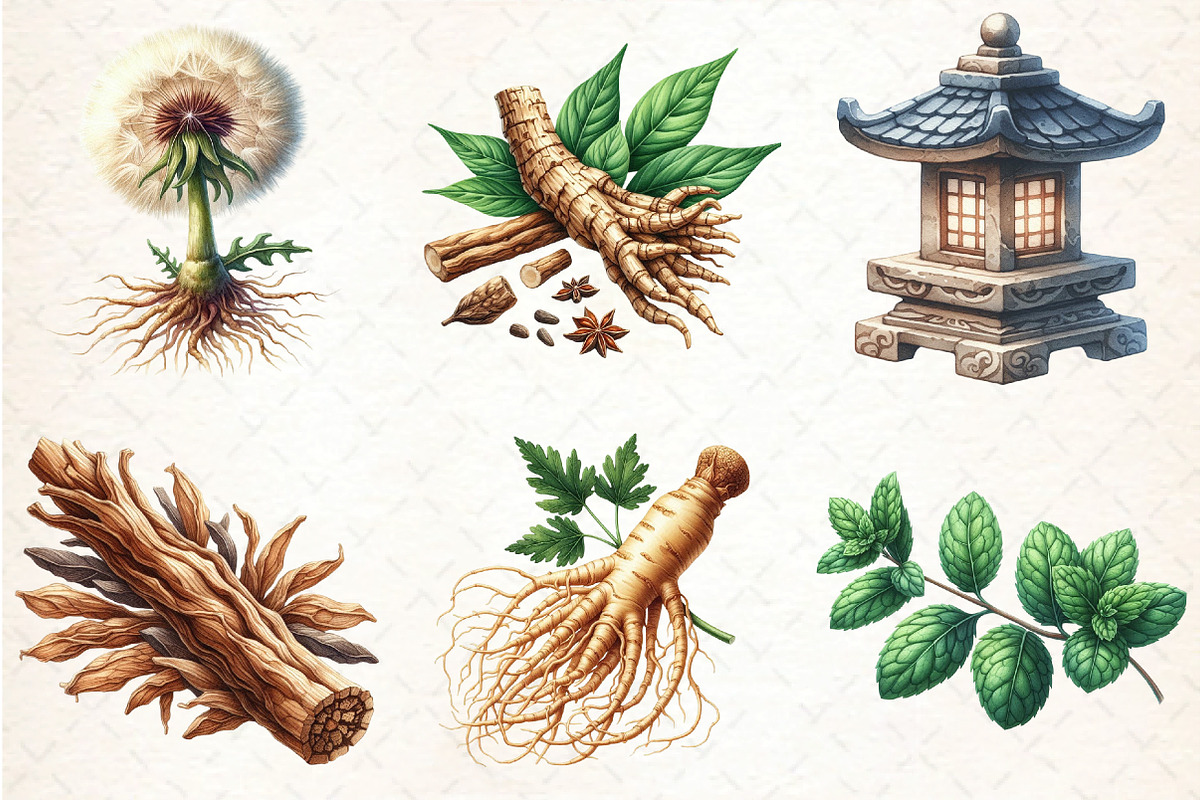 Medicinal Plants Clipart PNG Bundle, an Illustration by DreamCafeArt (Photo 3 of 9)