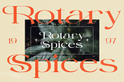Repath, a Serif Font by Nathatype (Thumbnail 7 of 10)