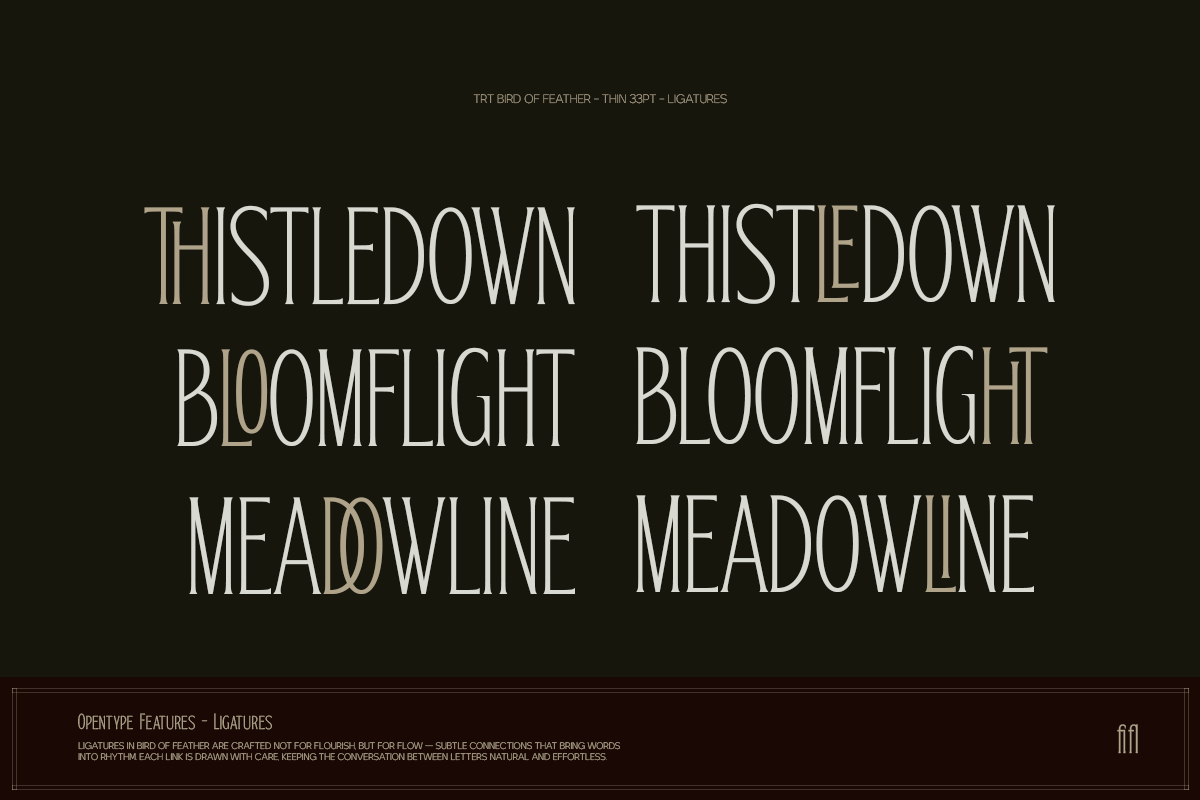 TRT Bird of Feather – Elegant Serif, a Font by truetype (Photo 4 of 15)