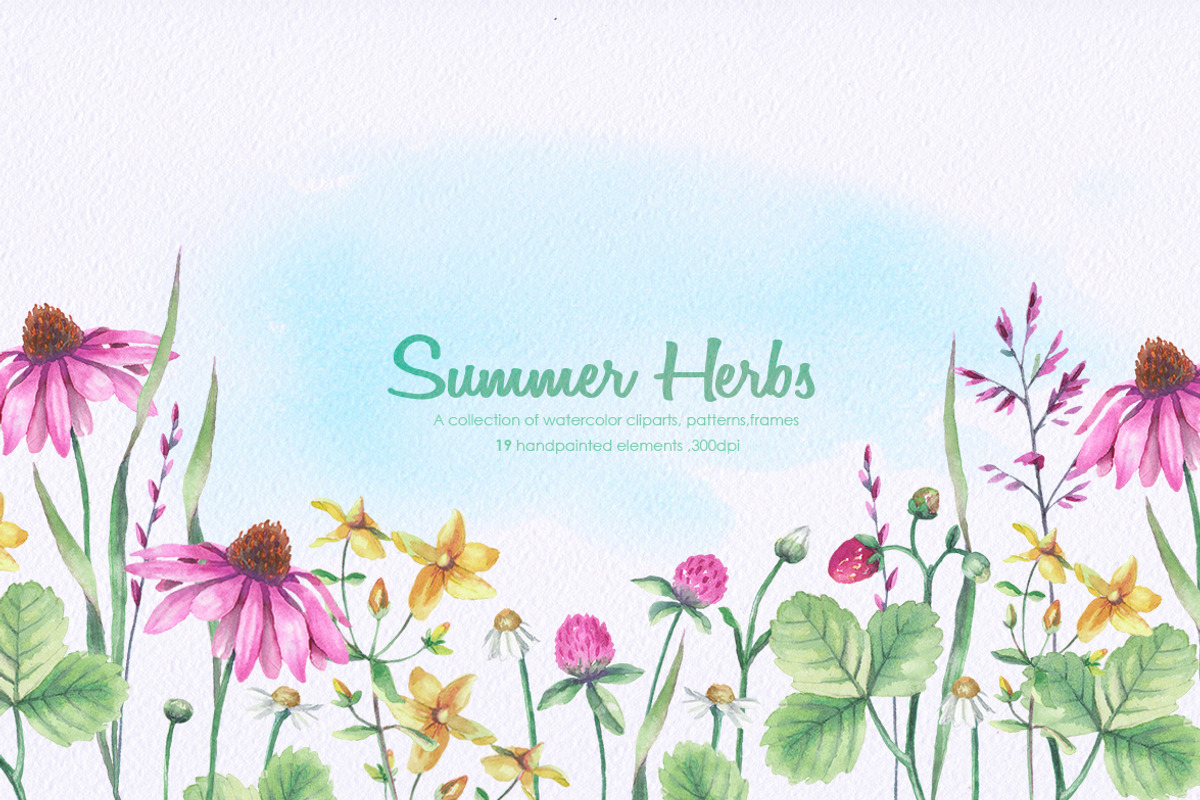 Summer Herbs, an Illustration by oKOLOstyle (Photo 1 of 5)