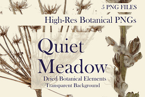Quiet Meadow — Dried Meadow Botanica