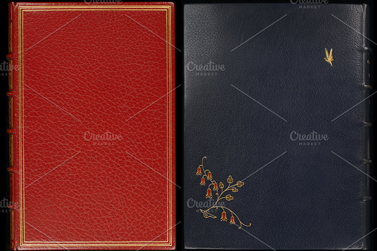 Antique Book Covers, a Texture Graphic by Blue Line Design (Photo 14 of 24)