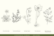 Botanical Floral Line Art Collection, a Decorative Illustration by AW Studios (Thumbnail 7 of 9)