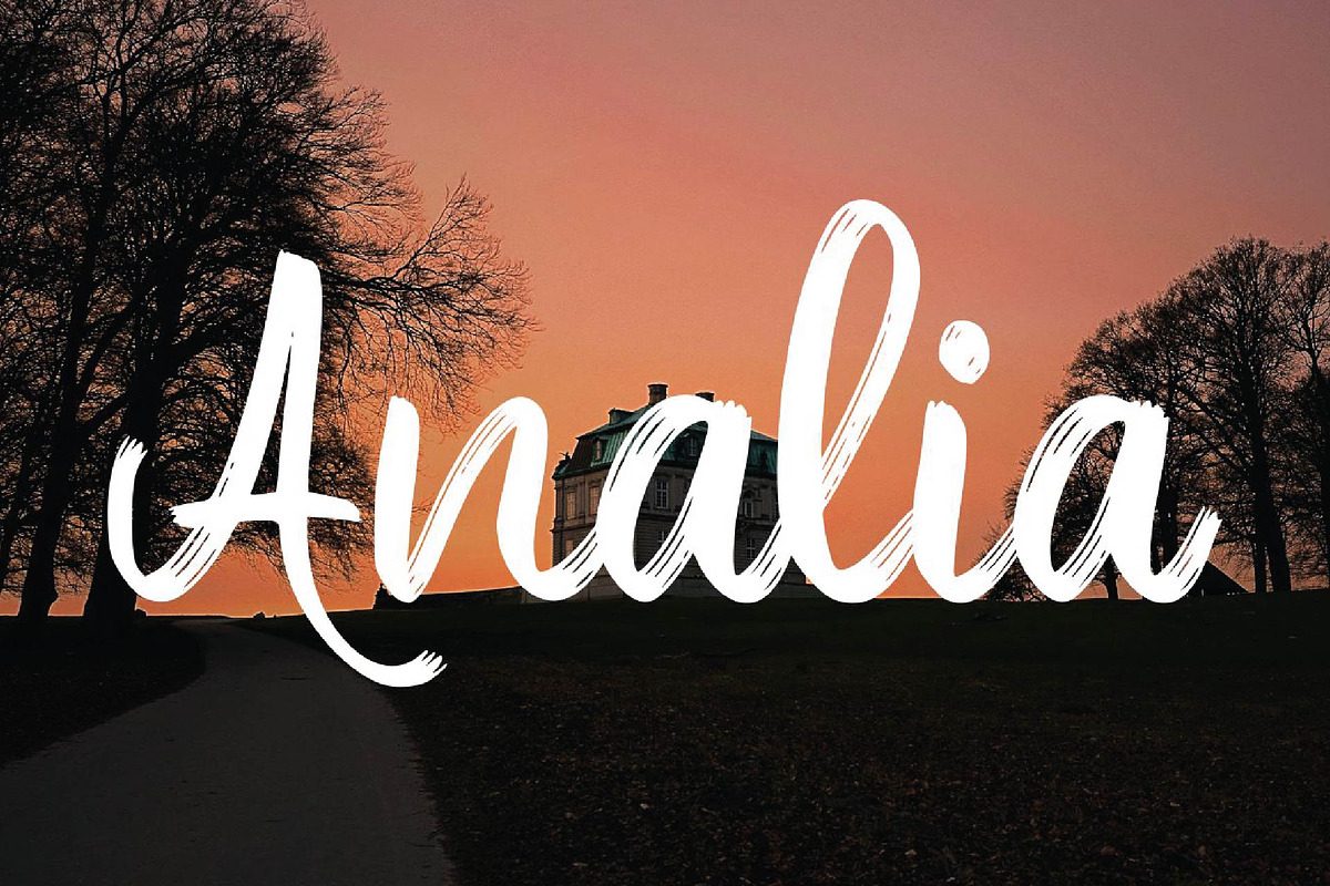Denmark - Modern Brush Font Script preview 5