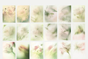 Floral blurry background overlay set, a Background Graphic by Grace Noboa Illustrations (Thumbnail 7 of 12)