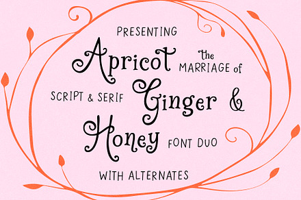 Apricot Ginger Honey Whimsy Font Duo, a Serif Font by Kaya Fonts