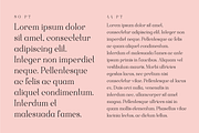 Rubber Boots, a Serif Font by Drew Melton (Thumbnail 2 of 5)