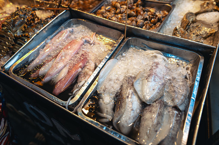Fresh squid on a tray at a seafood restaurant, a Food & Drink Photo by Art Rachen