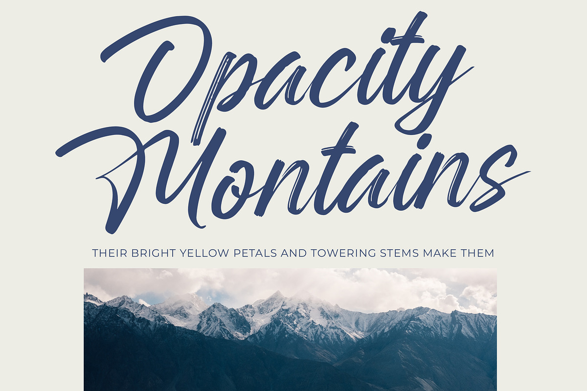 Rangdak Morattes Bold Brush Type, a Script Font by Letterena Studios Script (Photo 11 of 20)