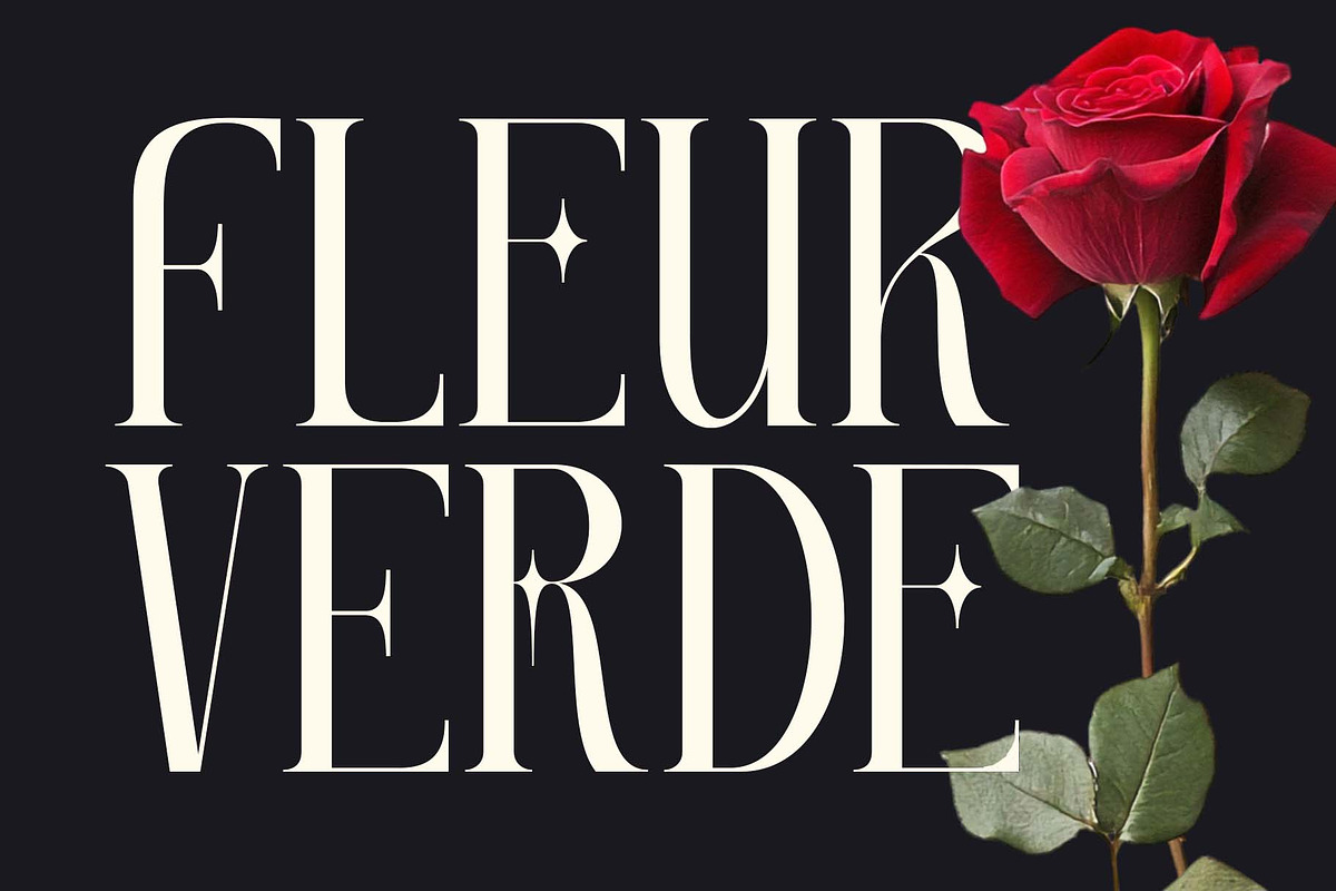Bloved a Classy Thin Serif Font, a Serif Font by Honestype (Photo 4 of 12)