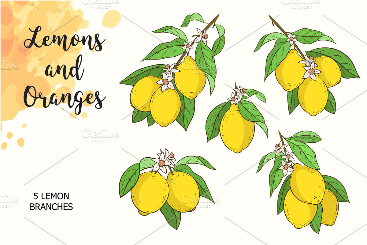 Lemons and Oranges, a Food Illustration by Imaginasty (Photo 3 of 5)