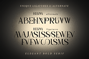 Herva - Decorative Elegant Serif, a Serif Font by Pandeka Studio (Thumbnail 12 of 12)