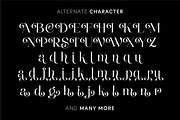Thenie Dawson - Stylish Serif Font, a Serif Font by Grezline Studio (Thumbnail 11 of 12)
