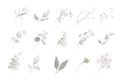 Bronte | Botanical set | 280+ images, an Illustration by Karma (Thumbnail 29 of 39)