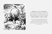 Line Art Drawing Procreate Brushes, a Brush Add-On by Digi Life (Thumbnail 5 of 13)