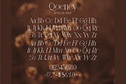 Qoency Modern Serif, a Serif Font by Glyphstyle (Thumbnail 5 of 8)