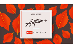 Autumn background layout decorate