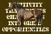 Bright Films Modern Retro Serif, a Serif Font by timelesstype.co (Thumbnail 6 of 20)