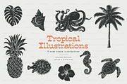 Vintage Tropical Illustrations, an Object Graphic by BirDIY Design (Thumbnail 1 of 8)
