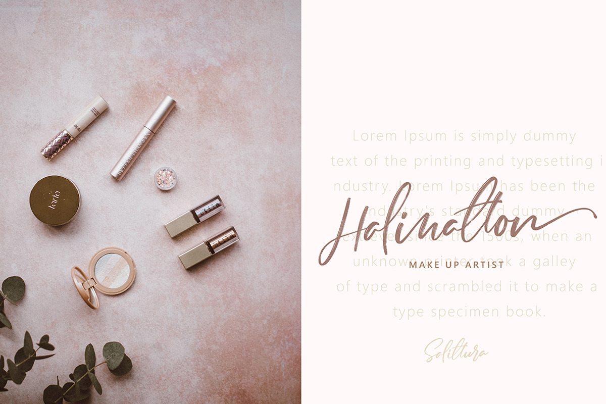 Salittura Brush Script Black Friday preview 3