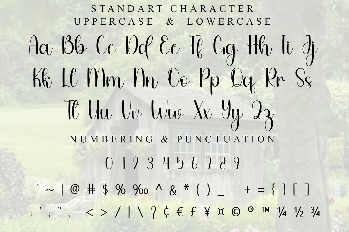 Whitening, a Handwritten Font by FreshTypeINK (Photo 4 of 7)