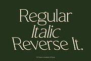 CS Florens – Elegant Serif Font, a Serif Font by Craft Supply Co. (Thumbnail 3 of 8)