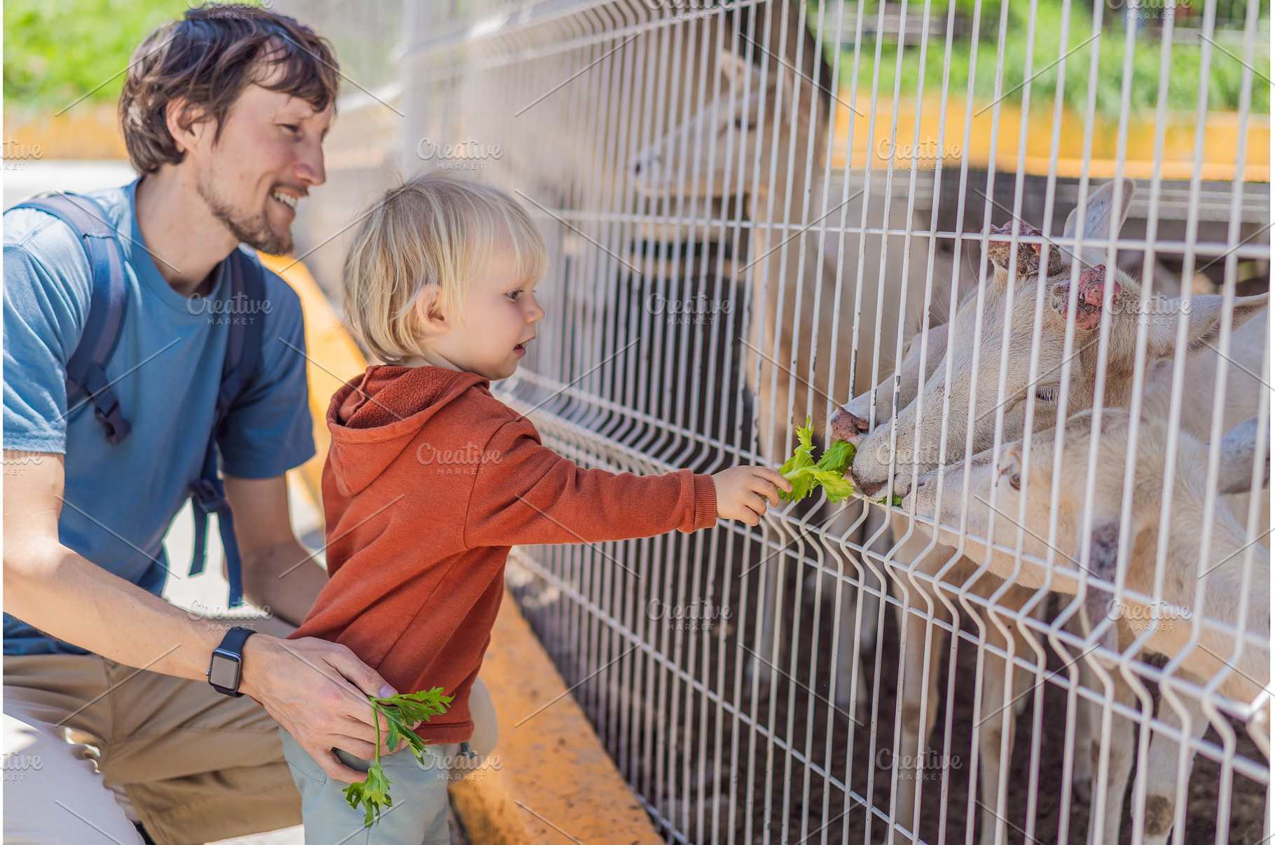 Father and his son feeding deer on a, an Animal Photo by Elizaveta Galitskaya