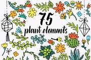 Cacti and succulents design set 140+, an Object Graphic by Live line (Thumbnail 7 of 8)