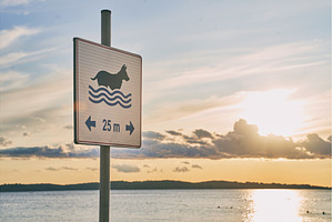Dog friendly beach sign at sunset, a Nature Photo by Oleksandr Berezko
