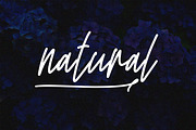 Thriphika Script Handwritten Font, a Script Font by NTC Graphic (Thumbnail 4 of 8)