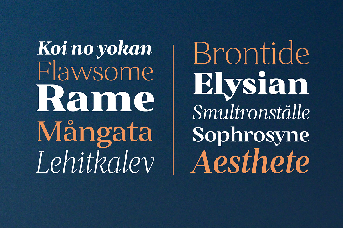 Hécate, a Serif Font by OceaneM (Photo 4 of 6)