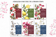 HERBAL TEA. Watercolor illustrations, a Decorative Illustration by Anastasia Koba (Thumbnail 7 of 10)
