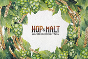 Watercolor hop and malt, a Decorative Illustration by Ekaterina Glazkova (Thumbnail 1 of 6)