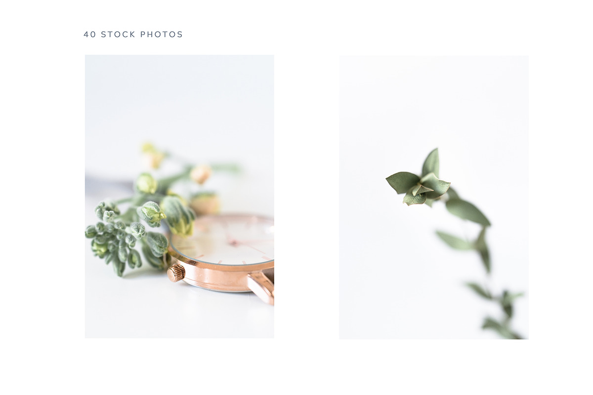 Animation & photo bundle. 02, a Social Media Template by Una Matison (Photo 18 of 25)