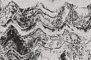 Twisted by Nature Vol 3, a Texture Graphic by Jennifer Lauren Creative (Thumbnail 11 of 16)