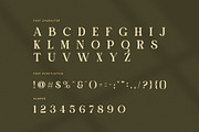 Chiko Elegant Ligature Serif Font, a Serif Font by Perfectype (Thumbnail 7 of 8)