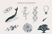 Handdrawn Celestial Space Collection, a Decorative Illustration by KirillsWorkshop (Thumbnail 6 of 7)
