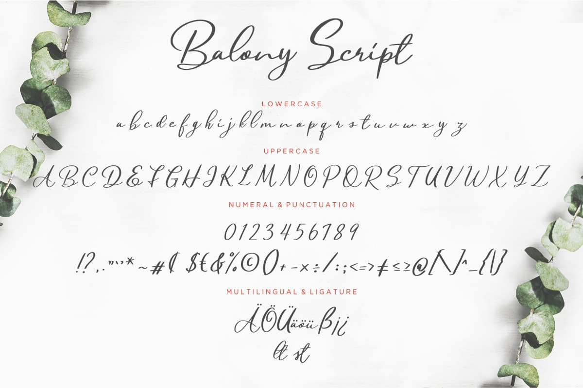 Balony Script Business Font preview 7
