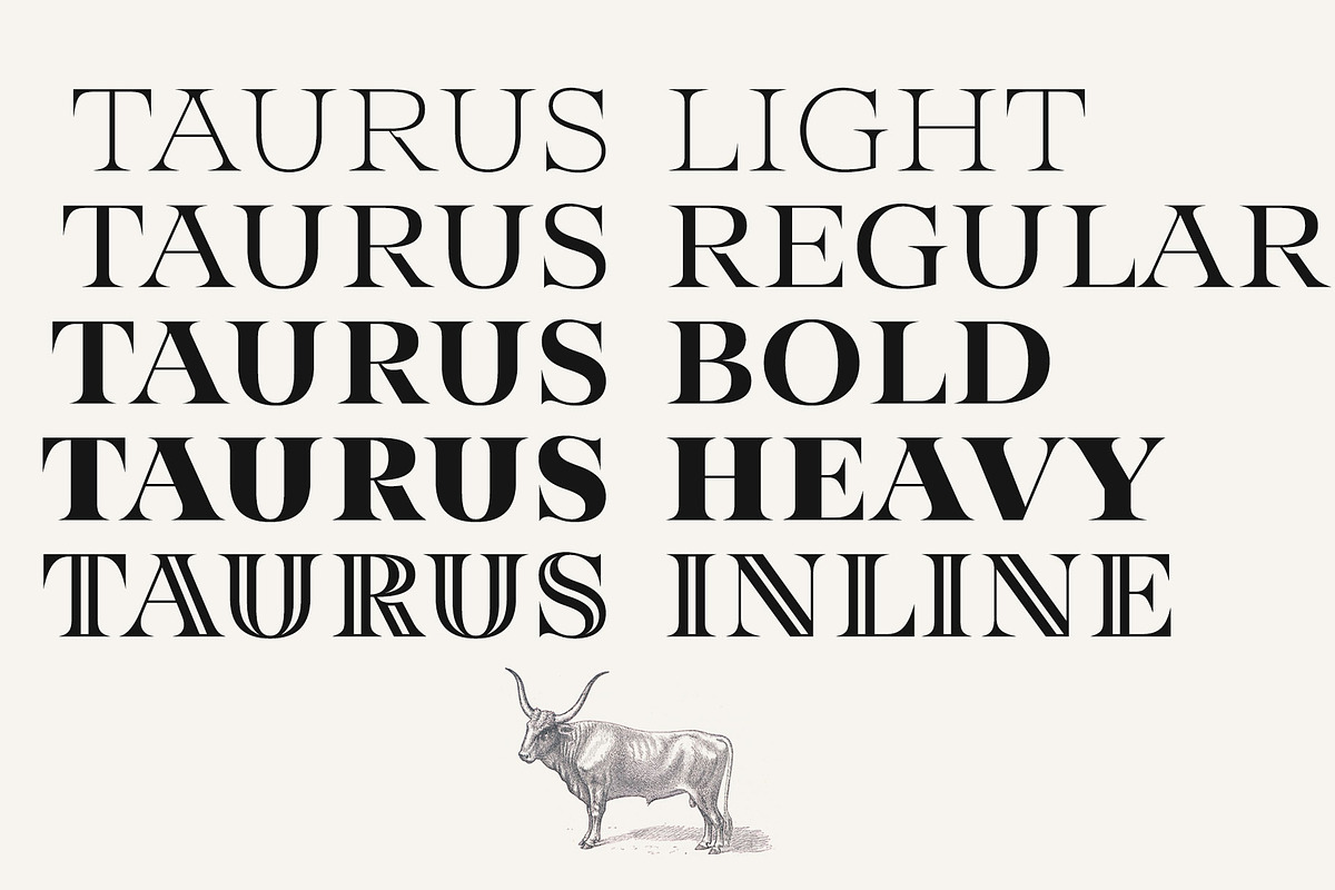 Taurus -high class serif, a Serif Font by Fenotype (Photo 9 of 9)