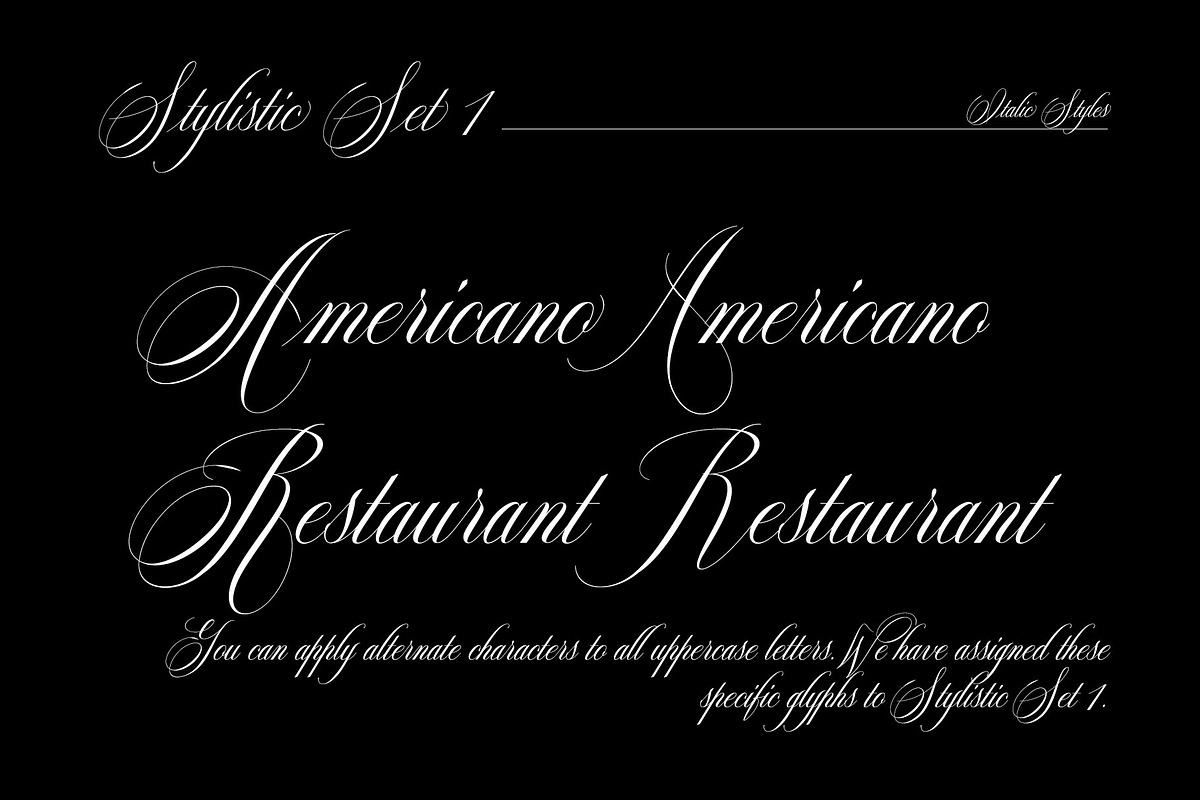 Reichamerina font family, a Serif Font by Ryul Davidson (Photo 22 of 27)
