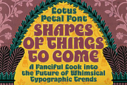 Lotus Petal Font, a Serif Font by Mysterylab Designs (Thumbnail 5 of 5)