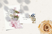 Watercolor Flowers & Leaves, a Decorative Illustration by Damian Roh (Thumbnail 7 of 20)