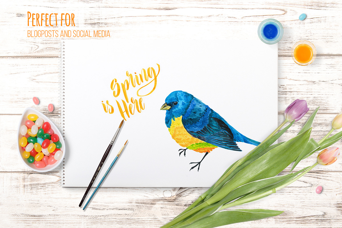 Spring and Easter Scene Creator, a Product Mockup by rubinat (Photo 6 of 6)